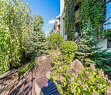 Зеленые холмы