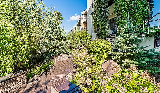 Зеленые холмы