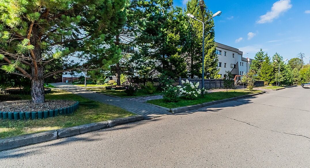 Зеленые холмы