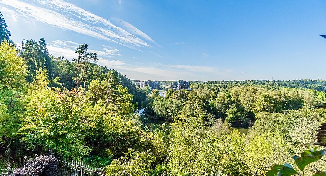 Зеленые холмы