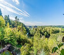 Зеленые холмы