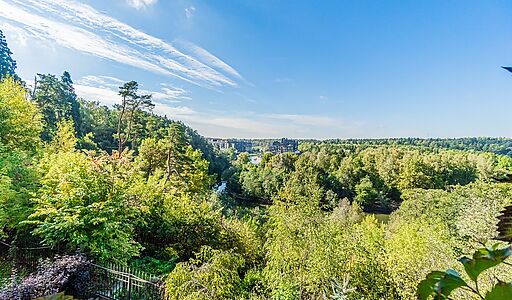 Зеленые холмы