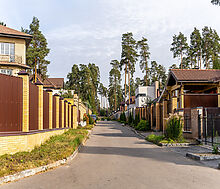 Зеленый Бор