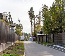 Зеленый Бор