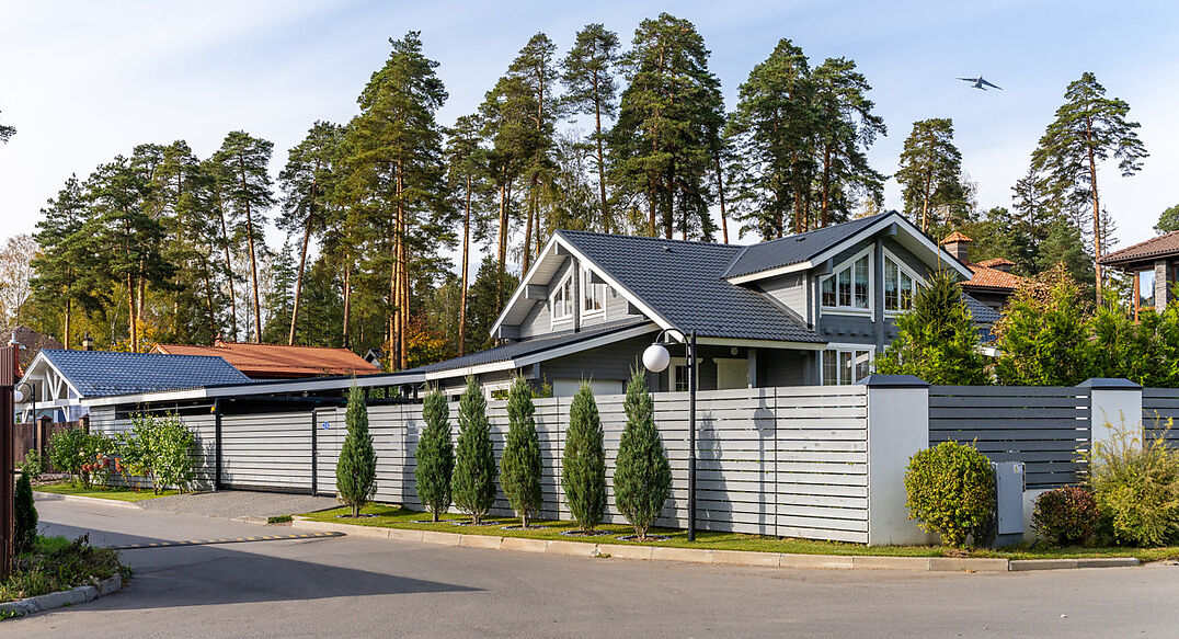 Зеленый Бор