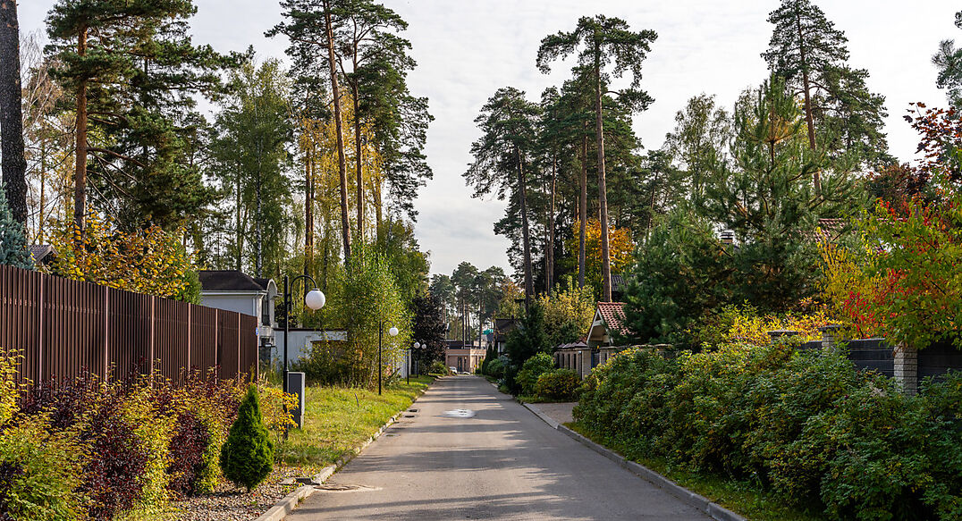 Зеленый Бор