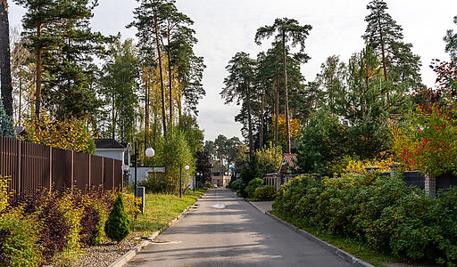 Зеленый Бор