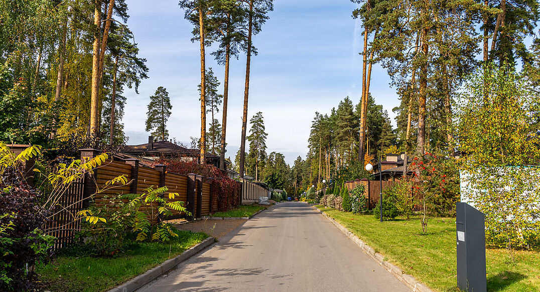 Зеленый Бор