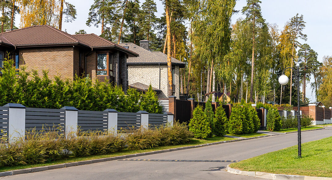 Зеленый Бор