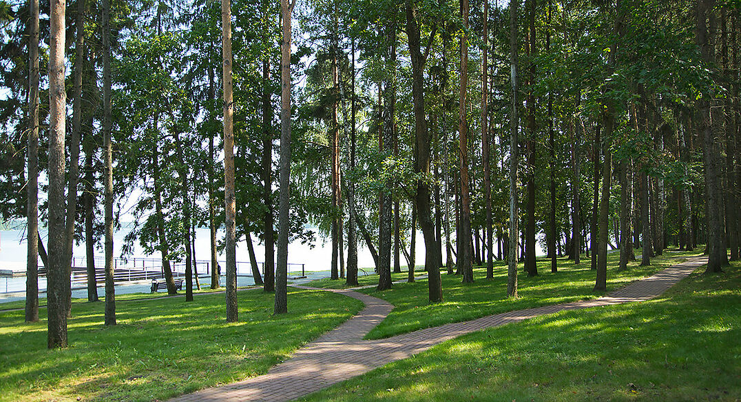 Лазурный берег