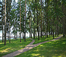 Лазурный берег