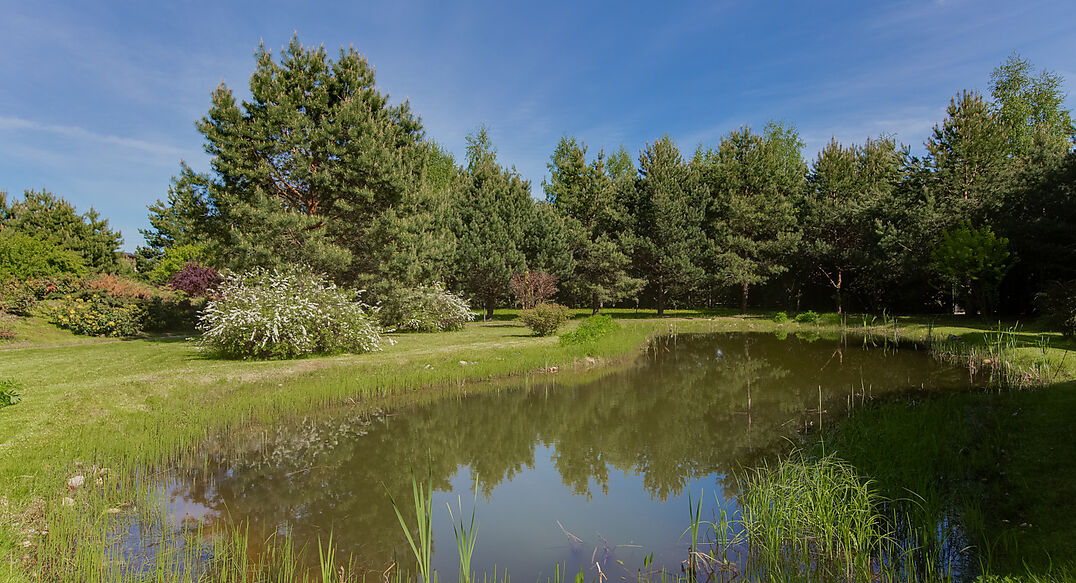 Зеленый Ветер-1