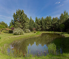 Зеленый Ветер-1