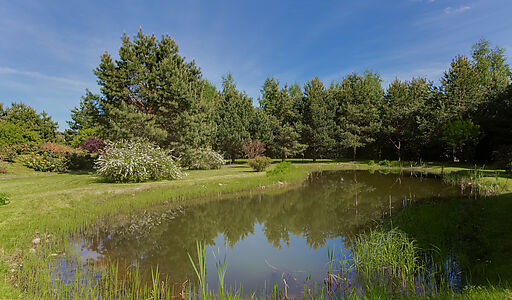 Зеленый Ветер-1