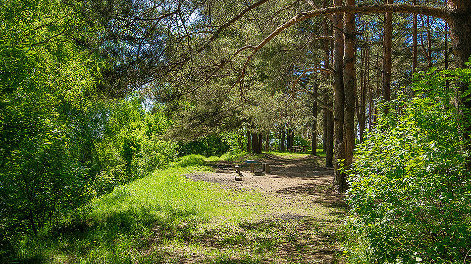 Шикарная усадьба в поселке Аврора