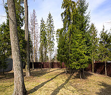 Дом в КП Зеленая Роща-1