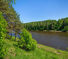 Новосельцево