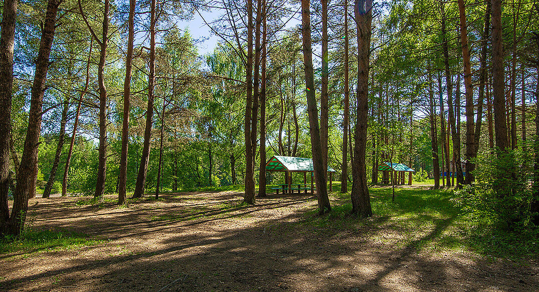 Новосельцево