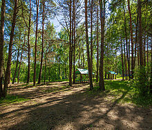 Новосельцево