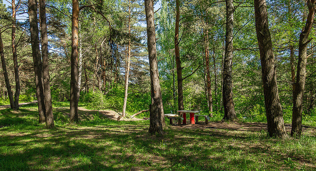 Новосельцево
