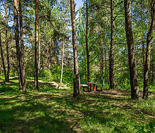 Новосельцево