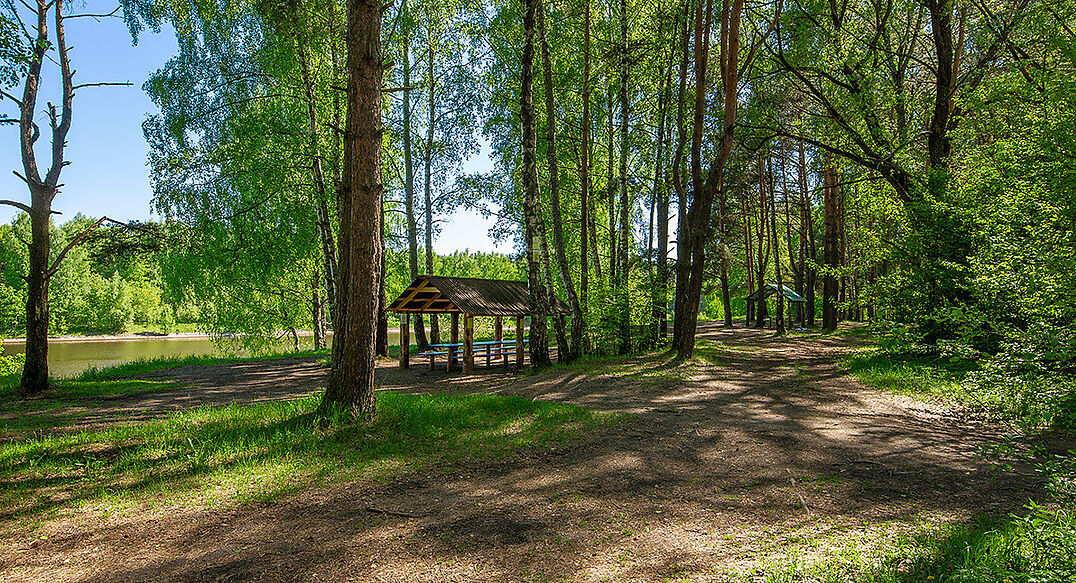 Новосельцево