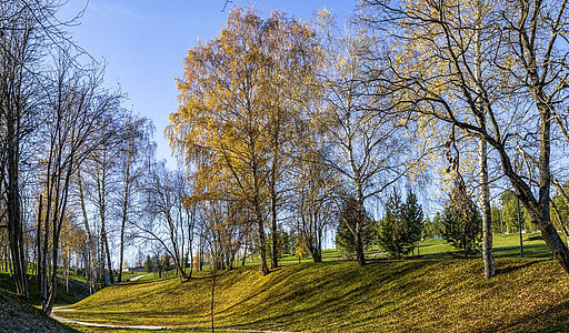 Кристалл Истра