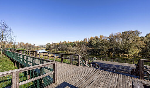 Кристалл Истра