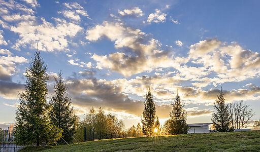 Кристалл Истра