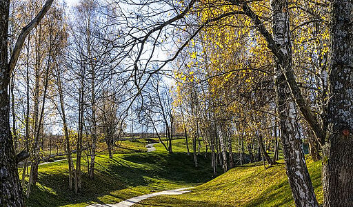 Кристалл Истра