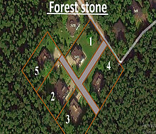 Форест Стоун