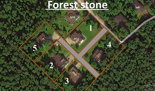 Форест Стоун