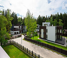 Форест Стоун