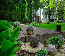 Форест Стоун