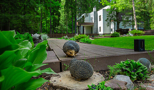 Форест Стоун