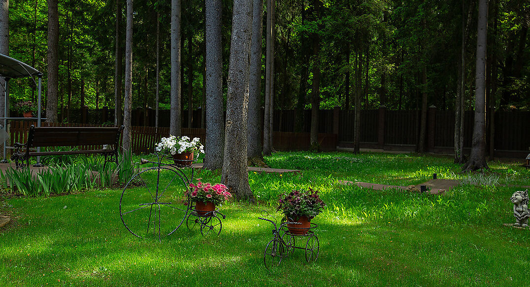 Форест Стоун