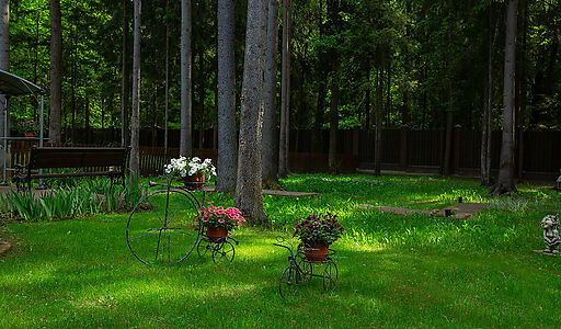 Форест Стоун