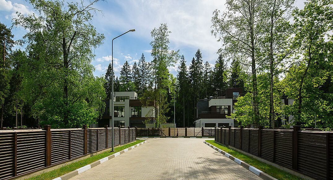 Форест Стоун