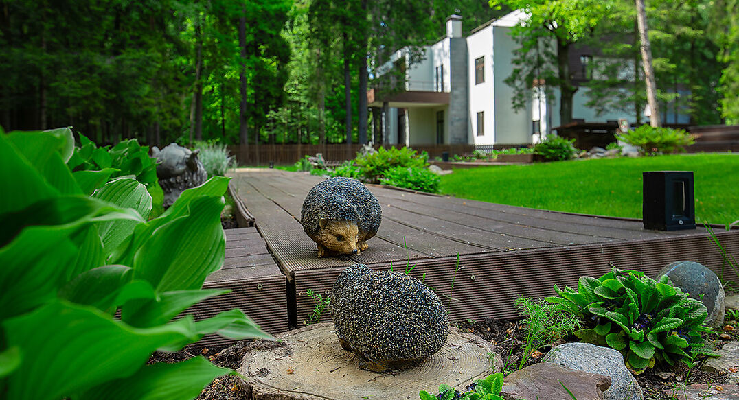 Форест Стоун