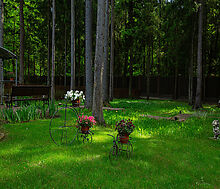 Форест Стоун