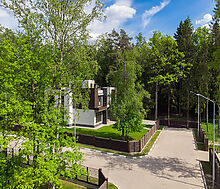 Форест Стоун