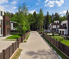 Форест Стоун