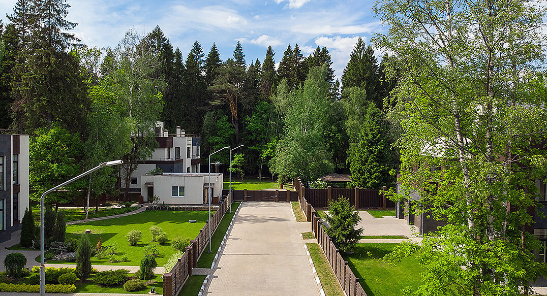 Форест Стоун