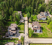 Форест Стоун