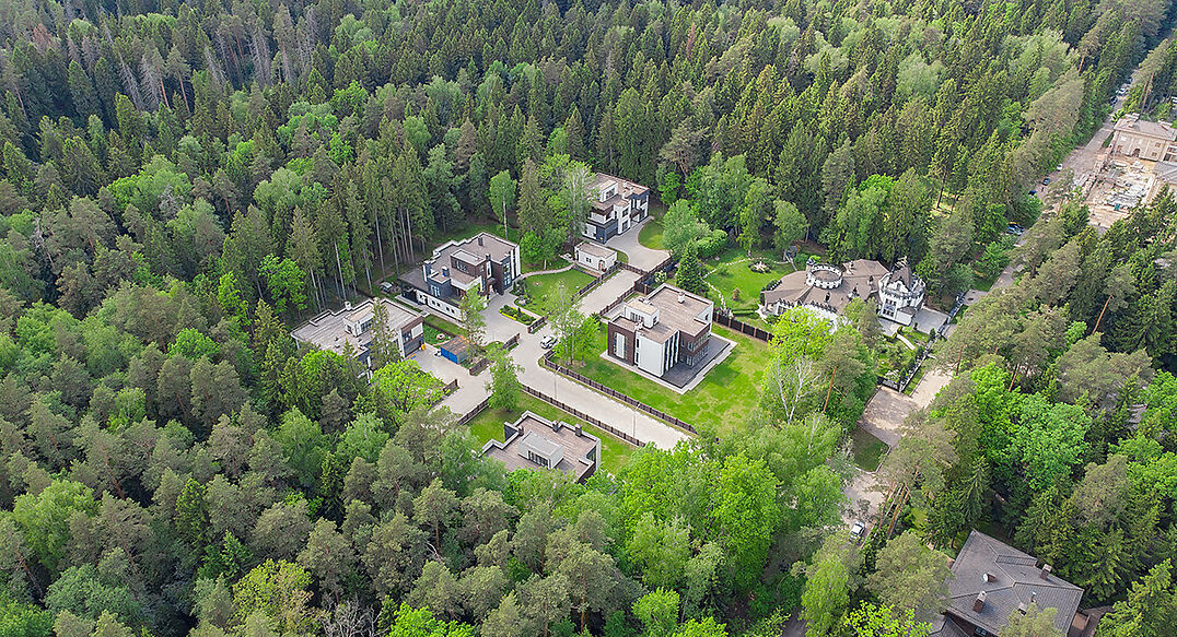 Форест Стоун