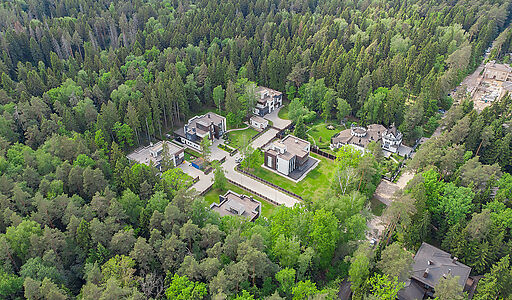 Форест Стоун