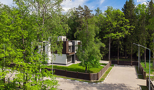 Форест Стоун