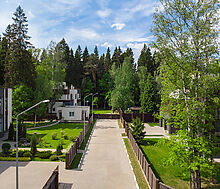 Форест Стоун