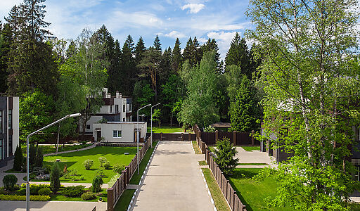 Форест Стоун