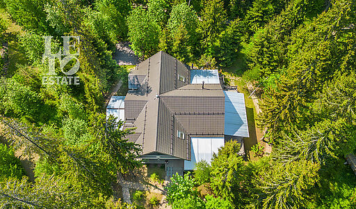Дом в аренду у воды в лесу